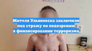 Жителя Ульяновска заключили под стражу по подозрению в финансировании терроризма