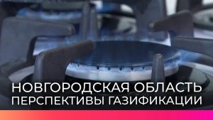 Александр Дронов и Алексей Миллер обсудили перспективы газификации Новгородской области
