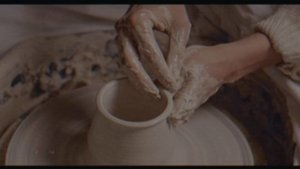 без лого береза