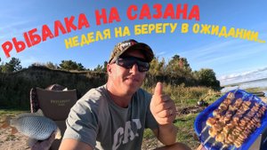 Они клевали и сразу тащили в коряжник. Живём неделю на берегу и ловим Сазана. Рыбалка в завоз.