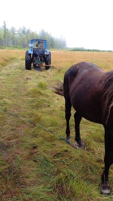 отдых на покосе смотреть онлайн