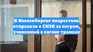 В Новосибирске подростков отправили в СИЗО за погром, учиненный в вагоне трамвая