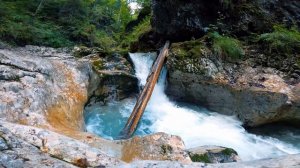 Звук около небольшого водопада. Приятный звук воды и щебет птиц. Белый шум.