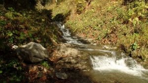 Менделиха. Парк водопадов. Сочи. 12.10.2019