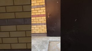 Разблокировка объявления . Нижегородская область, г Дзержинск , ул Чапаева, д 80 И . Таунхаус .