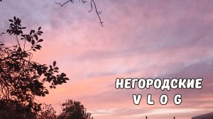 Завтрак у НУТРИЙ: кормовая свёкла. 50-летний орех. 07.09.25