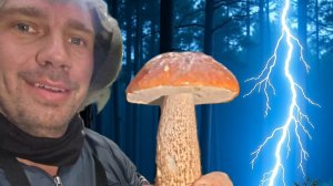 ГРИБЫ В ГРОЗУ: Шоковый Улов с Фонариками!