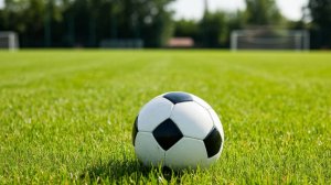 Полезные слова и фразы по футбольной теме на английском языке.