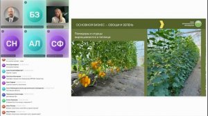 Агротехнология выращивания томатов и огурцов закрытого грунта Анастасии Вейшторт