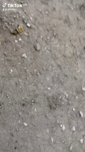 Моё видио клянусь смотреть онлайн