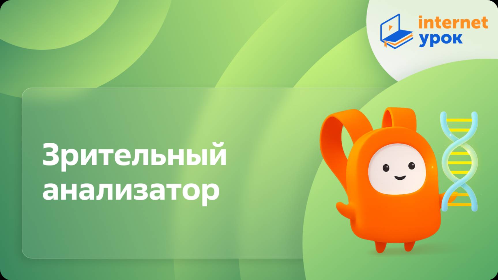 Зрительный анализатор. Видеоурок по биологии 8 класс
