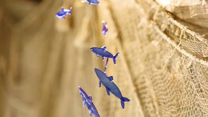 Время и стекло