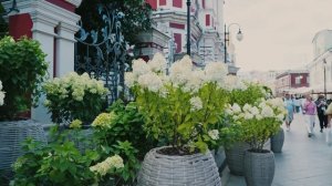 Здравствуй, Москва!