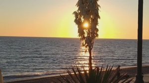 весёлое морюшко. Адлер. июнь 2021