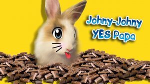 КРОЛИК БАФФИ И ПЕСКНКА Johnny yes yes [2017]