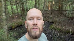 Запах, которого боятся комары — большой эксперимент: 10 ароматов против укусов!