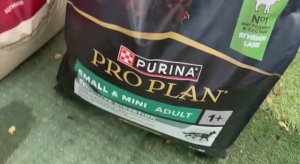 Запаслись кормами на пол года вперед.