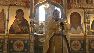 Иерей Глеб Киселев. Слово на Евангельское чтение о винограднике и виноградарях, 7 сентября 2025 г.