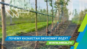 Дефицит воды в Центральной Азии. Как Казахстан решает эту проблему?