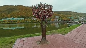 Прогулки по Петропавловску-Камчатскому. Октябрь 2023 года