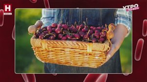 Как правильно есть ягоды? | ЭТО НОРМА