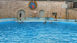 26=08=2025  АДЛЕР  (4)