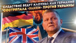 Зачем Германия топит Залужного: неудобная правда о том, кто стоит за терактом на «Северных потоках»