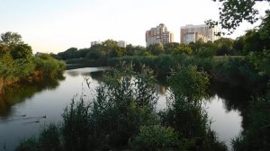 08=08=2025  ПРИРОДА  (71)