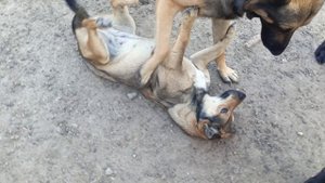 Херсонщина 11 сентября 2025 года (новости)