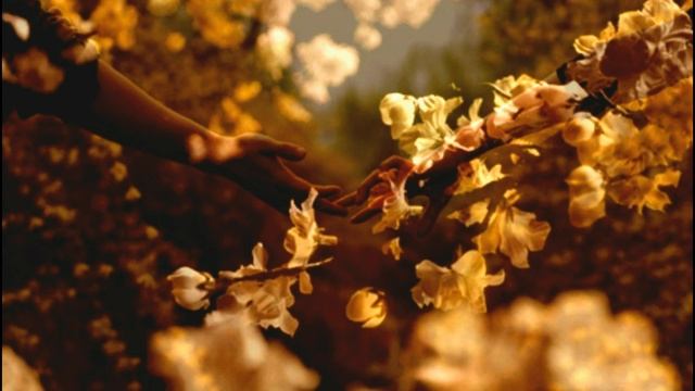 Jim Brickman - Course of Love смотреть онлайн