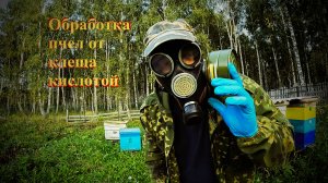Обработка пчел осенью от клеща щавелевой кислотой