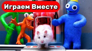ПОДЗЕМЕЛЬЕ С МОНТРАСМИ ДЛЯ СМЕЛОГО ХОМЯКА 🐹 ВИДЕО ПРО ЖИВОТНЫХ ДЛЯ ДЕТЕЙ
