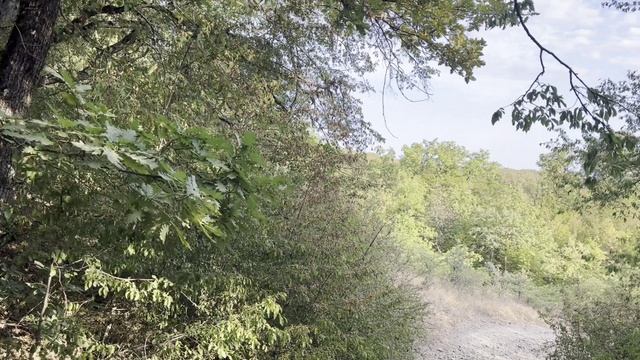 Релакс от природы - 5🌲🌾⛺🌳