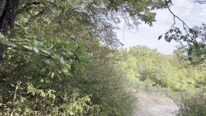 Релакс от природы - 5🌲🌾⛺🌳