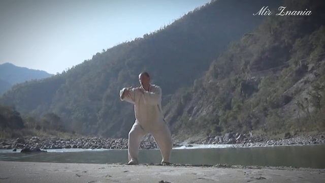 Авторское тайцзи