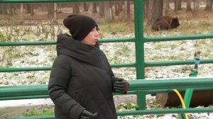 Календарь зубров - ноябрь