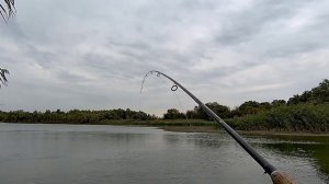 Окунь рыбалка удалась на хищника