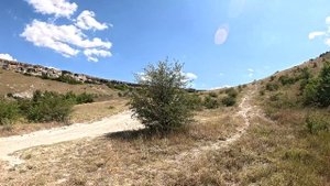 Белая скала (Крым 2025)