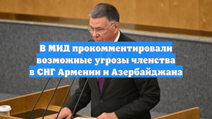 В МИД прокомментировали возможные угрозы членства в СНГ Армении и Азербайджана