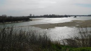 16--03--2025  ПРОГУЛКА   (23)