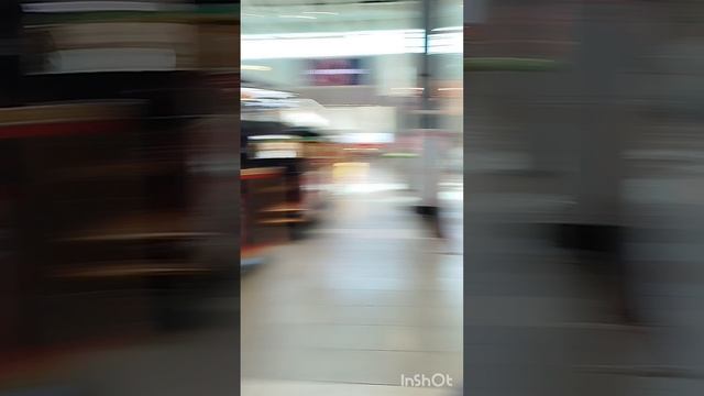 влог