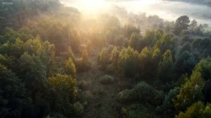 Красивая музыка с фортепиано и пением птиц. Расслабляющая музыка для отдыха.