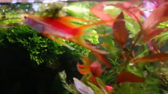 моя аква смотреть онлайн