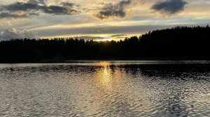 Загородная база БЕРЛОГА - с высоты птичьего полёта