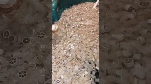 устройство мини УЗВ своими руками легко и не дорого