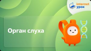 Орган слуха. Видеоурок по биологии 8 класс