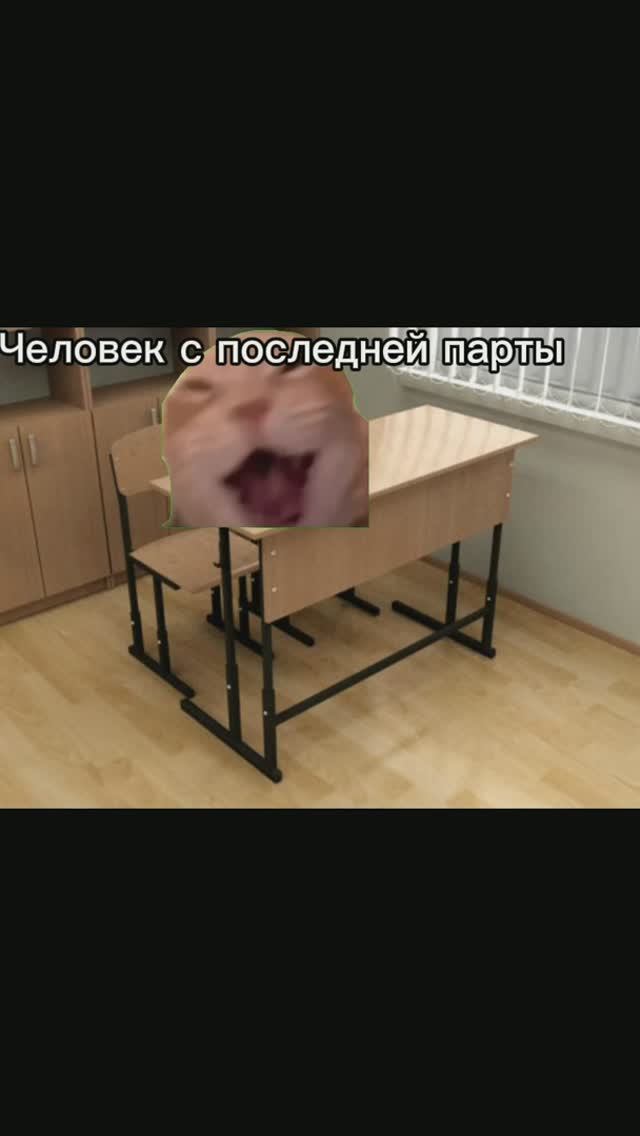 Типичный класс #мемныекоты #котымемы #школа #котыишкола #юмор #котики смотреть онлайн