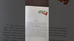 Читаю рассказ Соколова -Микитова «Рябина"