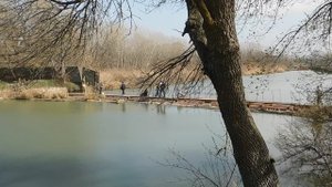 16--03--2025  ПРОГУЛКА   (31)