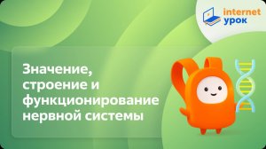 Значение, строение и функционирование нервной системы. Видеоурок по биологии 8 класс